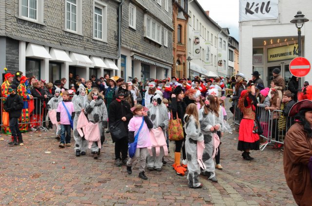 umzug simmern_140301_vb_233